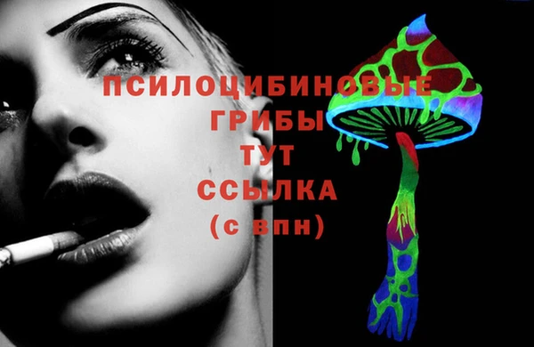 таблы Горняк