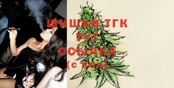 таблы Горняк