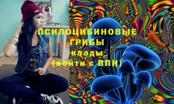 герыч Горнозаводск