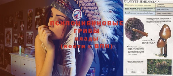 таблы Горняк