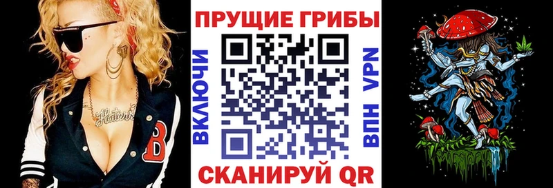 Купить где Юрюзань Галлюциногенные грибы ЛСД
